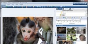 Ashampoo Photo Commander 14.0.5 Deneme Türkçe 290.9 MB logo