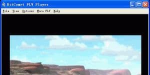 BitComet FLV Player 1.4 logo