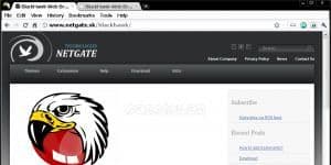 BlackHawk Web Browser 39.0.2132.2 logo
