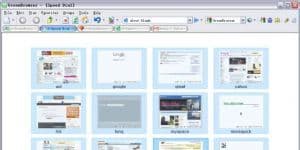 GreenBrowser 6.9.0517 logo