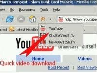Video DownloadHelper logo