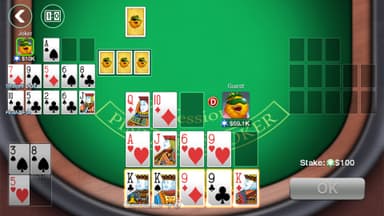DH Ananas Poker OFC MUAYENE logo