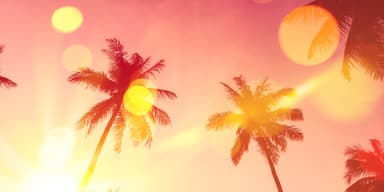 Sunshine logo