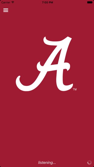 Alabama Işıklar MUAYENE logo