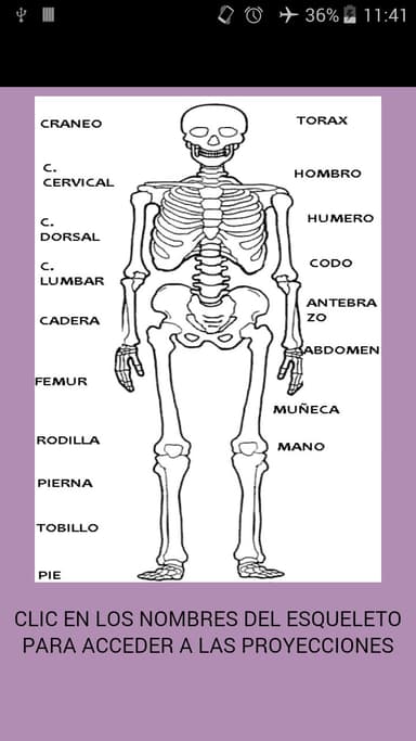 Manual radiologia 2 APK logo