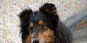 Foto-Mosaik-Edda 7.4.16017.1 logo