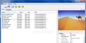 Image Tuner 6.1 logo