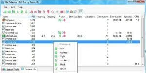 NetBalancer 9.6.2 logo