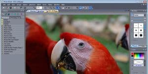 Photo-Brush 5.30 logo