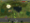 Rise of the Machines 1.3 logo