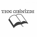 TEOG 2016 Cebinizde logo