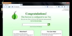 Tor Browser 6.0.1 Ücretsiz Türkçe 47.5 MB logo