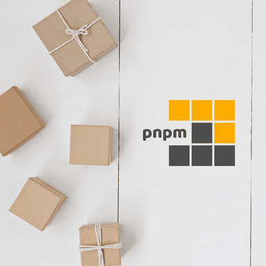 pnpm logo